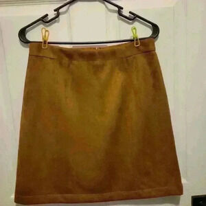 Ann Taylor  skirt